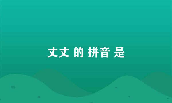 丈丈 的 拼音 是