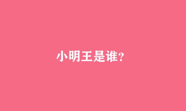 小明王是谁？