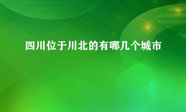 四川位于川北的有哪几个城市