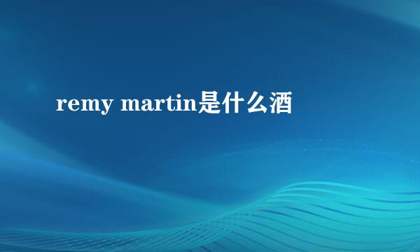 remy martin是什么酒