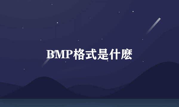 BMP格式是什麽