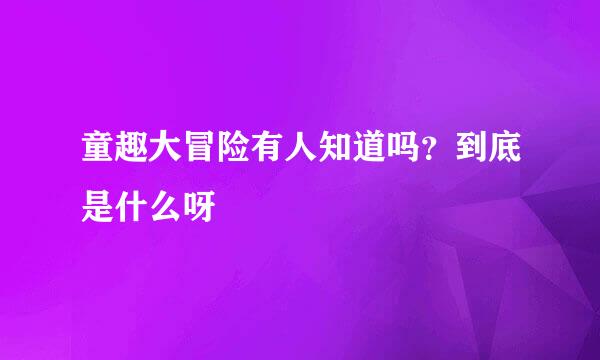 童趣大冒险有人知道吗？到底是什么呀