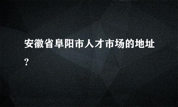 安徽省阜阳市人才市场的地址？