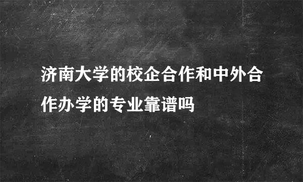 济南大学的校企合作和中外合作办学的专业靠谱吗