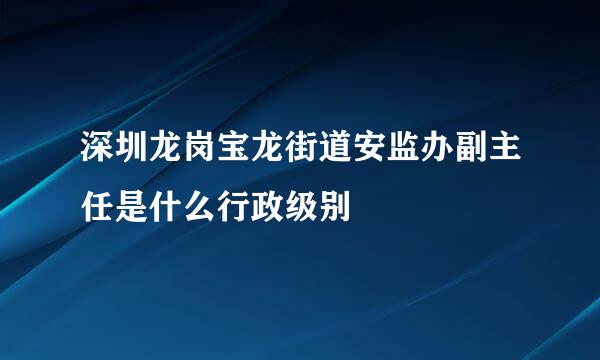 深圳龙岗宝龙街道安监办副主任是什么行政级别