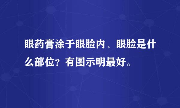 眼药膏涂于眼脸内、眼脸是什么部位？有图示明最好。