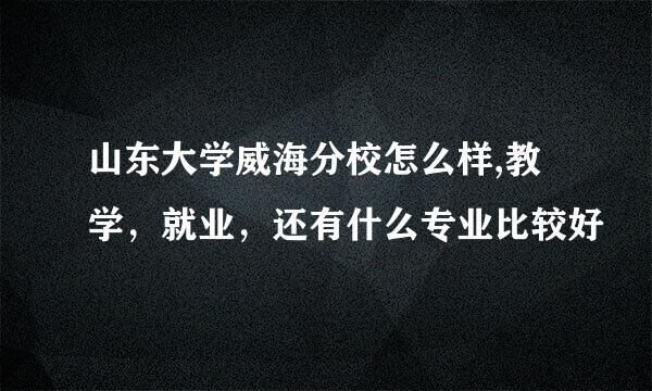 山东大学威海分校怎么样,教学，就业，还有什么专业比较好