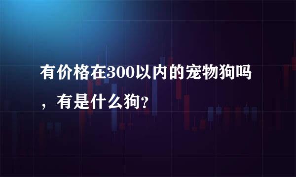 有价格在300以内的宠物狗吗，有是什么狗？