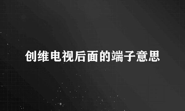 创维电视后面的端子意思