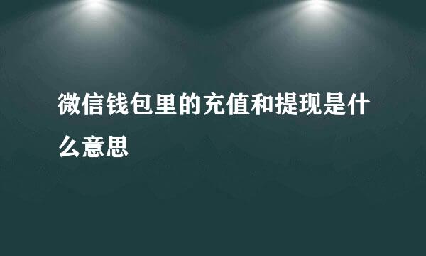 微信钱包里的充值和提现是什么意思