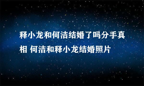 释小龙和何洁结婚了吗分手真相 何洁和释小龙结婚照片