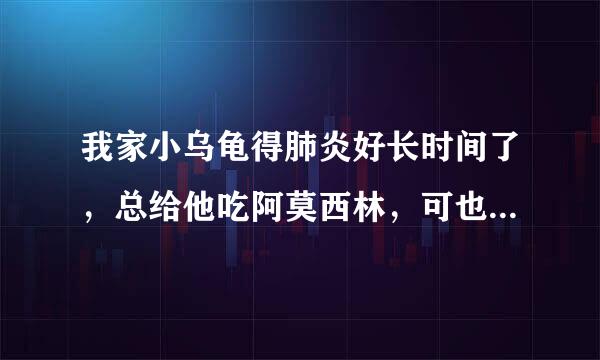 我家小乌龟得肺炎好长时间了，总给他吃阿莫西林，可也不好。最近几天更重了。眼睛都不动了，好像快死了。