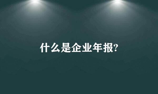 什么是企业年报?