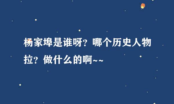 杨家埠是谁呀？哪个历史人物拉？做什么的啊~~