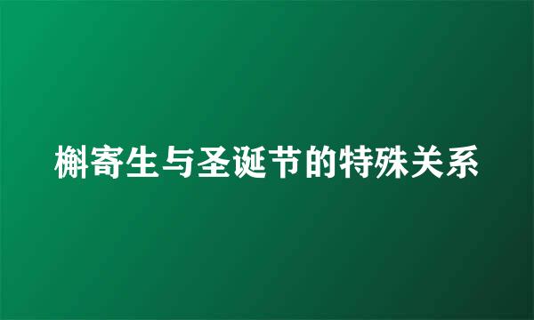 槲寄生与圣诞节的特殊关系