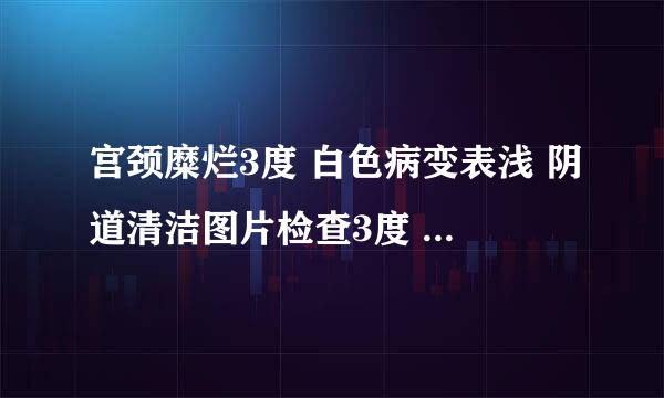 宫颈糜烂3度 白色病变表浅 阴道清洁图片检查3度 原始鳞状上皮.原始柱状上皮 腺开口周围有白环球杆菌感染轻