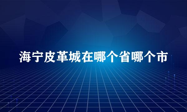 海宁皮革城在哪个省哪个市