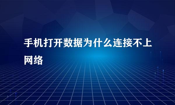 手机打开数据为什么连接不上网络