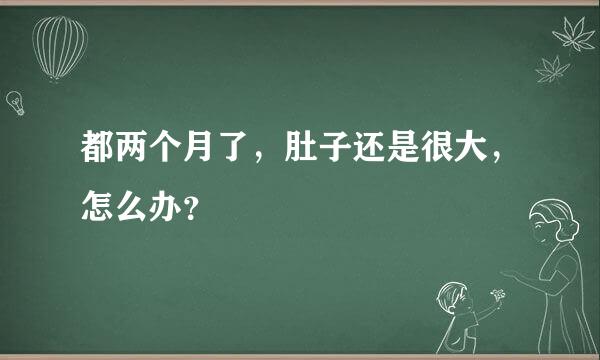 都两个月了，肚子还是很大，怎么办？