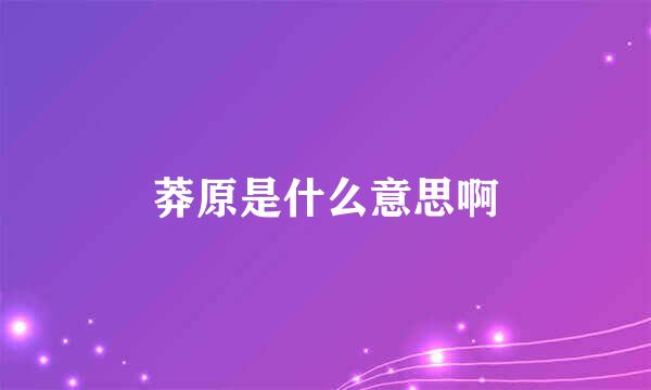 莽原是什么意思啊