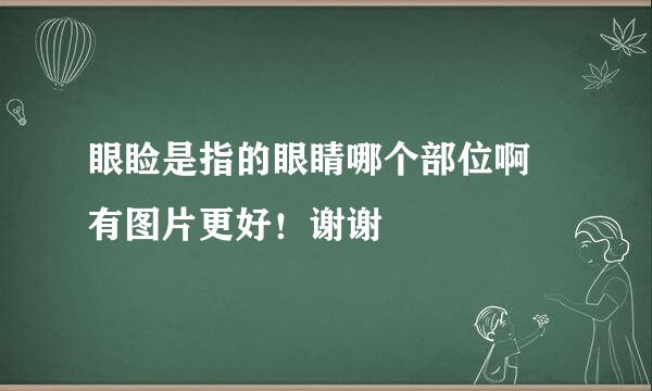 眼睑是指的眼睛哪个部位啊 有图片更好！谢谢