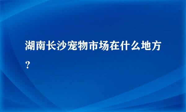 湖南长沙宠物市场在什么地方？