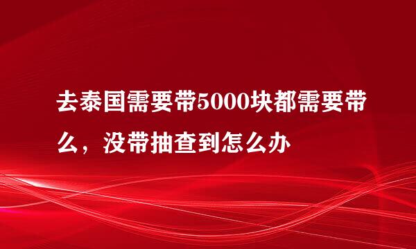 去泰国需要带5000块都需要带么，没带抽查到怎么办