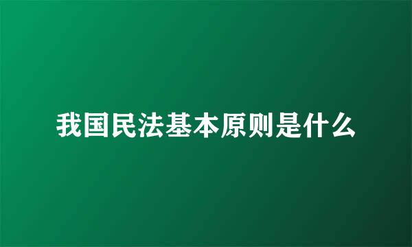 我国民法基本原则是什么