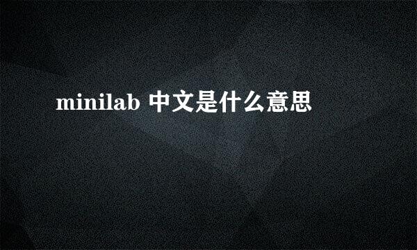 minilab 中文是什么意思