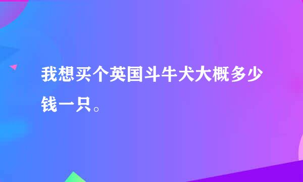 我想买个英国斗牛犬大概多少钱一只。