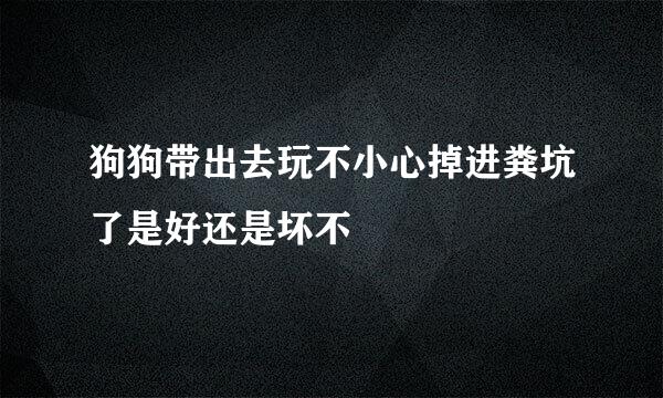 狗狗带出去玩不小心掉进粪坑了是好还是坏不