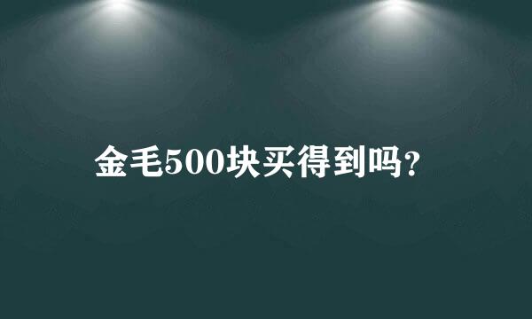 金毛500块买得到吗？