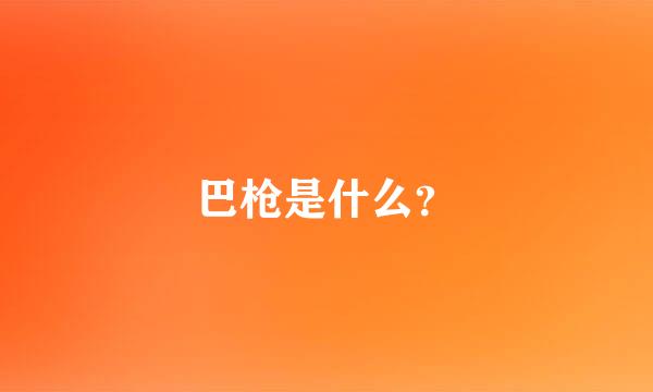 巴枪是什么？