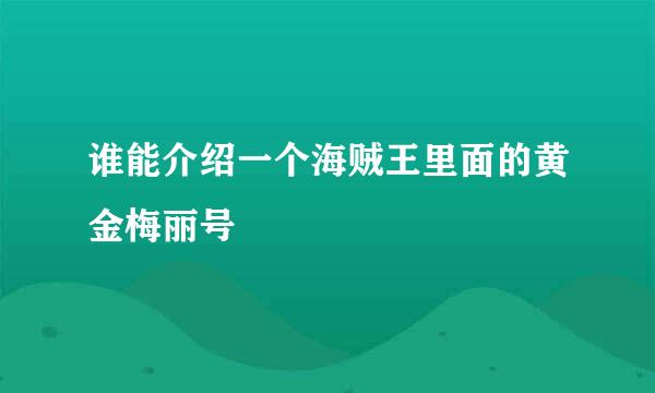 谁能介绍一个海贼王里面的黄金梅丽号