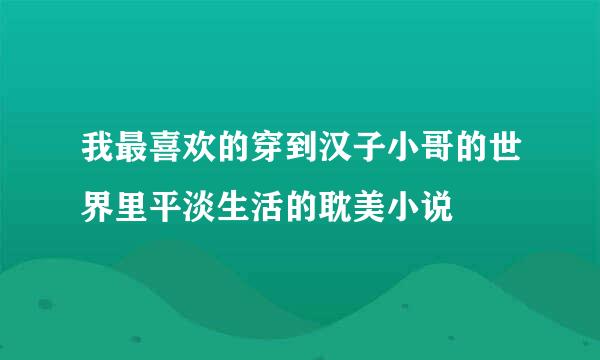 我最喜欢的穿到汉子小哥的世界里平淡生活的耽美小说