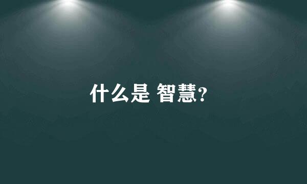 什么是 智慧？