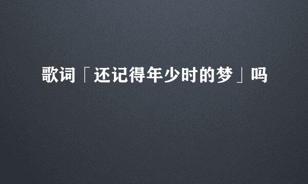 歌词「还记得年少时的梦」吗