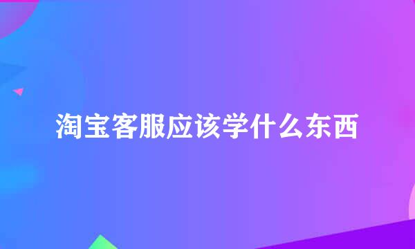 淘宝客服应该学什么东西