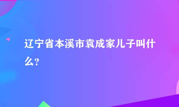 辽宁省本溪市袁成家儿子叫什么？