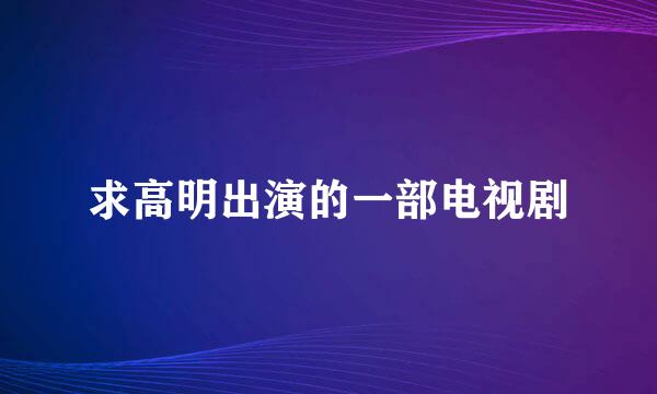 求高明出演的一部电视剧