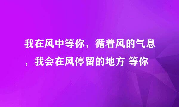 我在风中等你，循着风的气息，我会在风停留的地方 等你