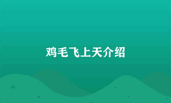 鸡毛飞上天介绍