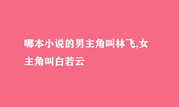 哪本小说的男主角叫林飞,女主角叫白若云