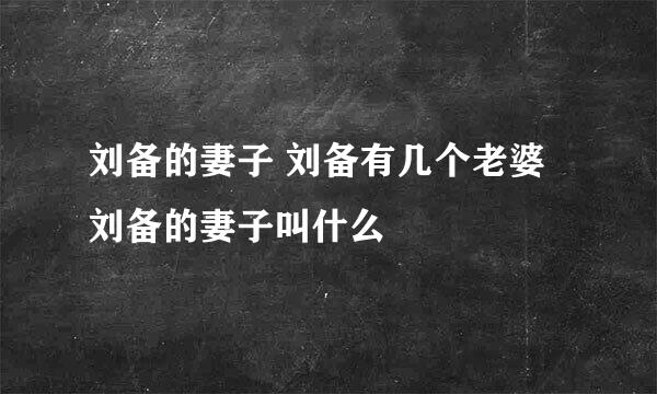 刘备的妻子 刘备有几个老婆 刘备的妻子叫什么