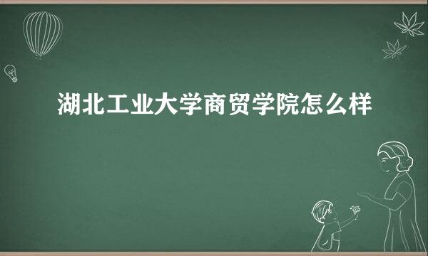 湖北工业大学商贸学院怎么样