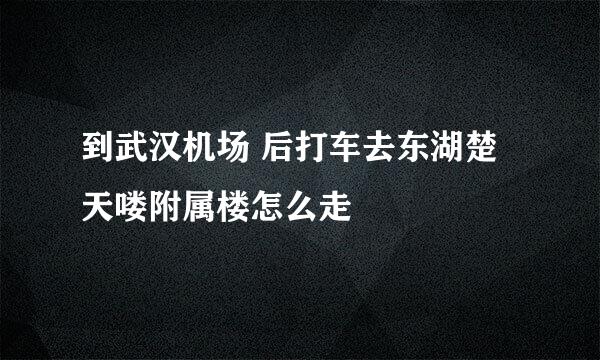 到武汉机场 后打车去东湖楚天喽附属楼怎么走