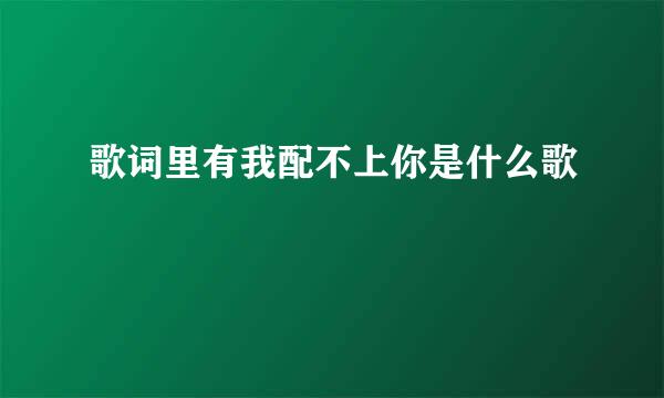 歌词里有我配不上你是什么歌