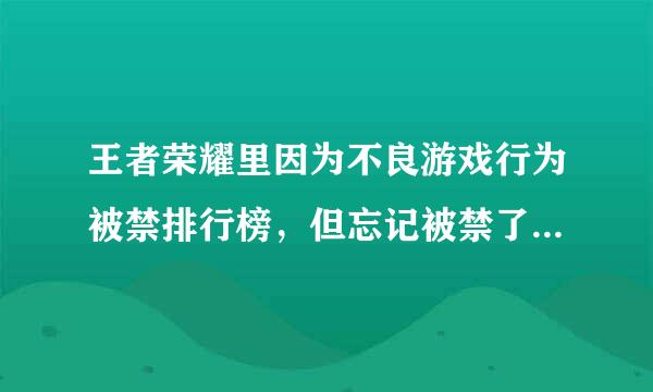 王者荣耀里因为不良游戏行为被禁排行榜，但忘记被禁了多久，要从哪里才能知道什么时候解禁