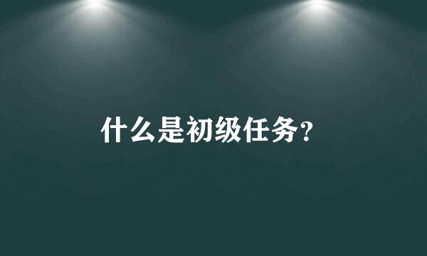 什么是初级任务？