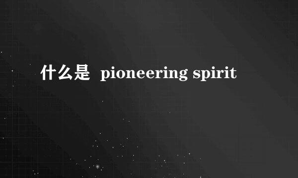 什么是  pioneering spirit